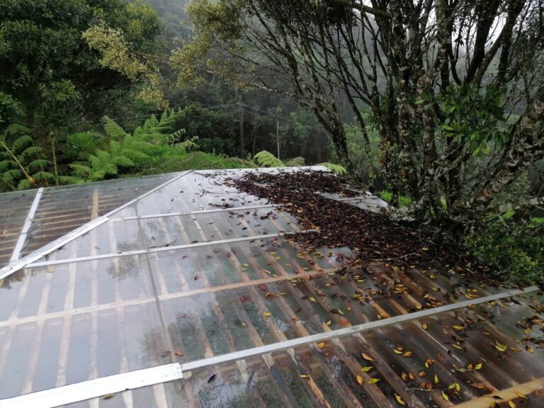 Bethel Limpieza de Pérgolas en Medellín